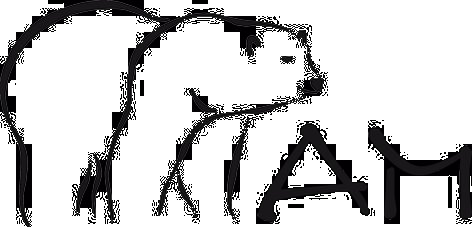 Maier Eisbär